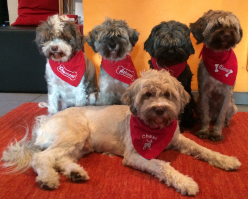 Chumani, Ribanna und Ashana